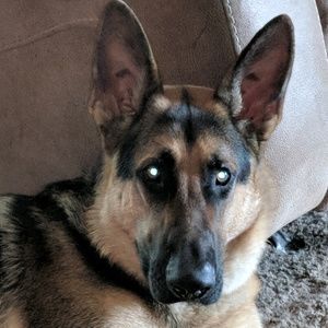 Meet your Posher, Mia